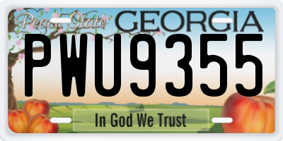 GA license plate PWU9355