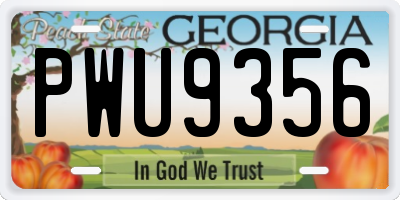 GA license plate PWU9356