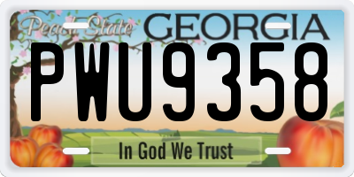 GA license plate PWU9358