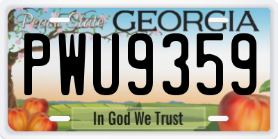 GA license plate PWU9359