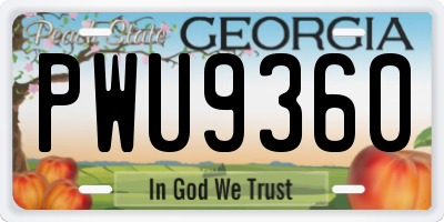 GA license plate PWU9360