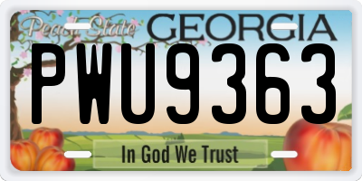GA license plate PWU9363