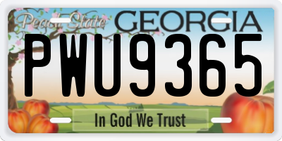 GA license plate PWU9365