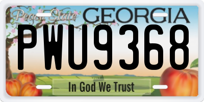 GA license plate PWU9368
