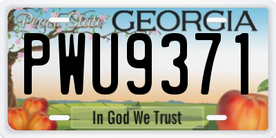 GA license plate PWU9371