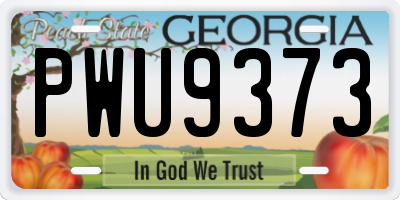 GA license plate PWU9373