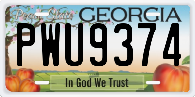 GA license plate PWU9374