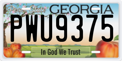 GA license plate PWU9375