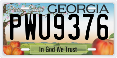 GA license plate PWU9376