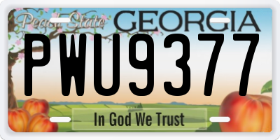 GA license plate PWU9377