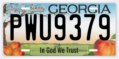 GA license plate PWU9379