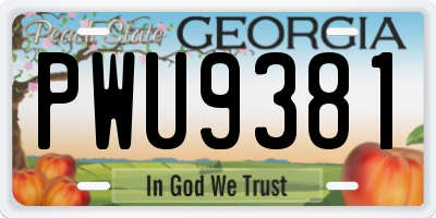 GA license plate PWU9381