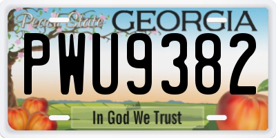 GA license plate PWU9382