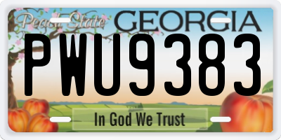 GA license plate PWU9383