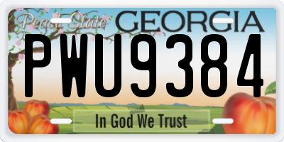 GA license plate PWU9384