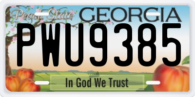 GA license plate PWU9385