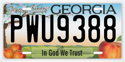 GA license plate PWU9388