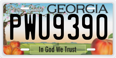 GA license plate PWU9390