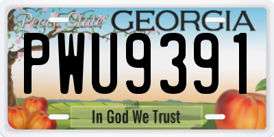 GA license plate PWU9391