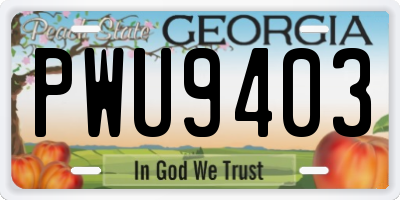 GA license plate PWU9403