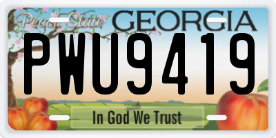 GA license plate PWU9419
