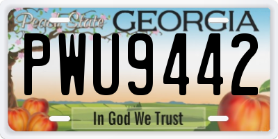GA license plate PWU9442