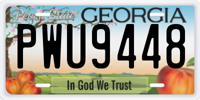 GA license plate PWU9448