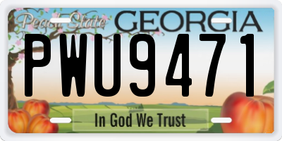 GA license plate PWU9471