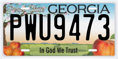 GA license plate PWU9473