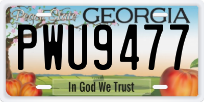 GA license plate PWU9477