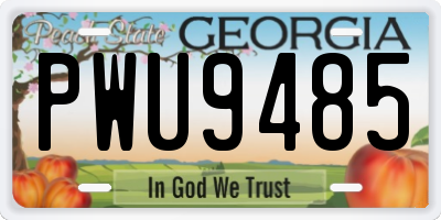 GA license plate PWU9485