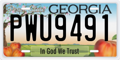 GA license plate PWU9491