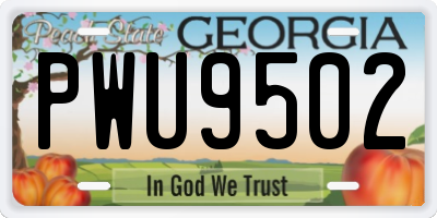 GA license plate PWU9502