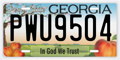 GA license plate PWU9504
