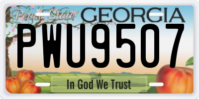 GA license plate PWU9507