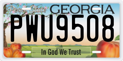 GA license plate PWU9508