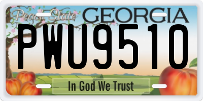 GA license plate PWU9510