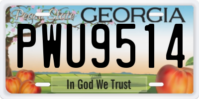 GA license plate PWU9514