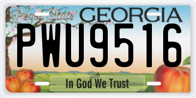 GA license plate PWU9516