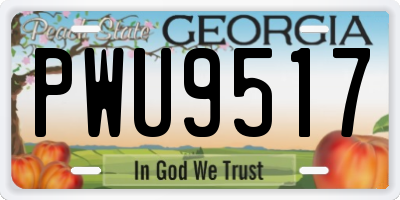 GA license plate PWU9517