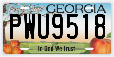 GA license plate PWU9518