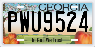 GA license plate PWU9524