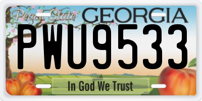 GA license plate PWU9533