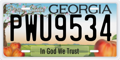 GA license plate PWU9534