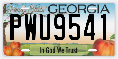 GA license plate PWU9541