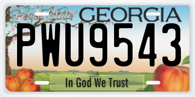 GA license plate PWU9543