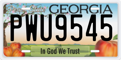 GA license plate PWU9545