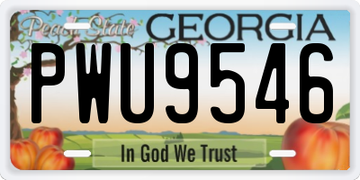 GA license plate PWU9546