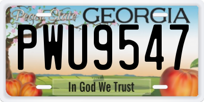 GA license plate PWU9547