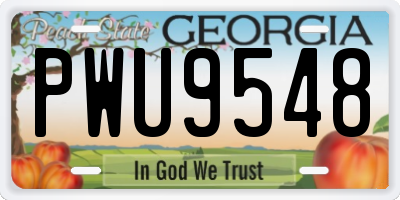 GA license plate PWU9548
